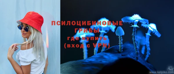 трава Алзамай