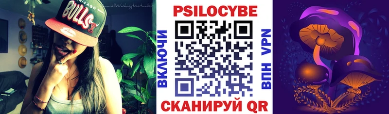 Галлюциногенные грибы Psilocybine cubensis  Черноголовка 