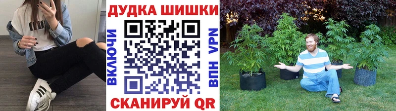 МАРИХУАНА VHQ  KRAKEN   Черноголовка  цены  